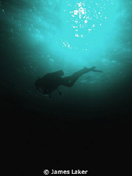 Diver by James Laker 